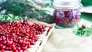 Kekreyemiş, kan şekeri ile insülini 