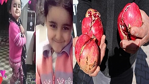 Nardan zehirlendiği iddia edilen Saliha, toprağa verildi