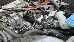 Otomobilin motor kısmına sıkışan yavru kediyi itfaiye kurtardı