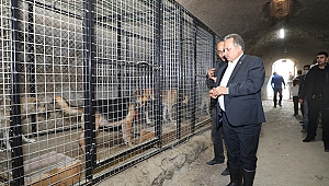 Başkan Yalçın Sevimli Dostlarla