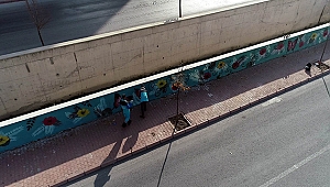 Bu ressamın tuvali, kentin boş duvarları