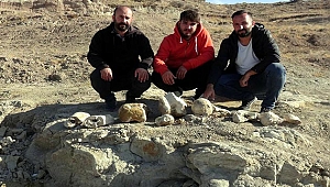 Kayseri'de 7,5 milyon yıllık yeni fosil bulundu