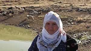 Köylüler, Ayvazhacı'daki gölde hobi amaçlı balık besliyor