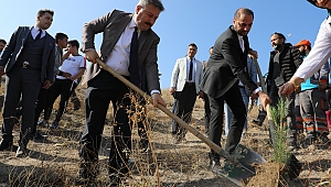 Melikgazi Belediyesi’nin 32 mahallesinde 12 bin 800 fidan dikimi