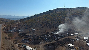 Meşe ağacının mangal kömürü olma yolculuğu