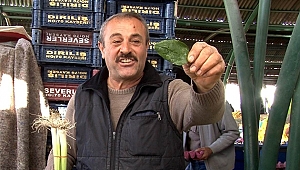 Vatandaş ıspanak almaktan korkuyor