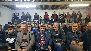 Güvercin sevenler bu mezatta buluşuyor