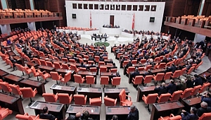 Kayseri Barosu Kadın Hakları Komisyonu Başkanı Avukat Safiye Yigen, 