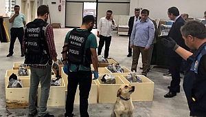 Mobilya ürünleri ile uyuşturucu sevkiyatında 2 sanığa 30'ar yıl hapis