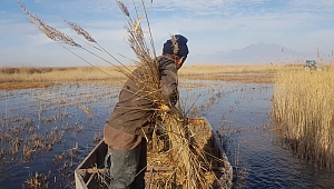Sultan Sazlığında meşakkatli mesai başladı