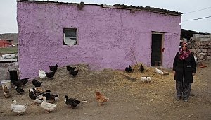 'Mikrokredi' ile çiftlik kurdu