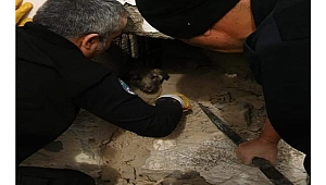 Evin dış duvarına sıkışan köpeği itfaiye ekipleri kurtardı