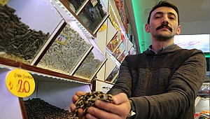  Kayseri'de çekirdeğe 'Korona virüs' darbesi