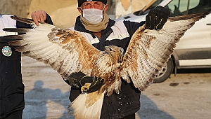 Yaralı Doğan'a Talas Belediyesi Sahip Çıktı