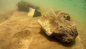 Dünyada ilk kez kara canlısının fosili Yamula Barajı'nda su altında bulundu