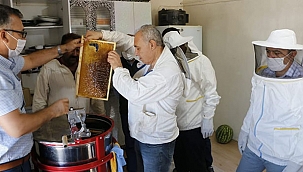 Arıcıların zorlu bal mesaisi