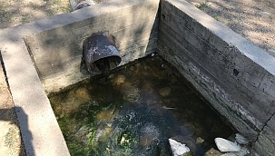 Sarımsaklı'da sular kesildi, tarladaki mahsuller kurudu