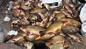 Yasak malzemelerle balık avlayan 27 kişi hakkında işlem yapıldı