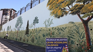 Çevreye Uyumlu Duvarlar Sanata Dönüştü