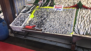 Hamsi çoğaldı, fiyatı azaldı