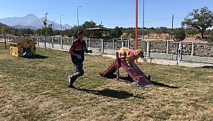 Hayvanlar için ‘Patiyol’