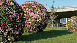 Kayseri'de sonbahar güzelliği