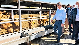 Kayseri Şeker, çiftçiye hayvancılık noktasında destek verecek