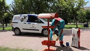 'Küçük dostlar' her zaman değerli