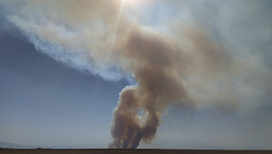 Kuş cenneti Sultan Sazlığı'nda yangın