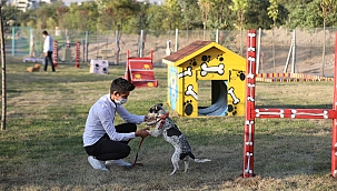 ‘Pati Yolu’na hayvan severlerden tam not