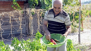 Salgın günlerini hobi bahçelerinde geçiriyorlar