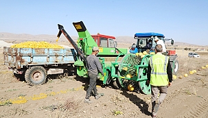 Talas'ın tarıma desteği artarak devam ediyor