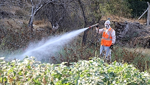 Talas’ta kış uykusuna giren haşerata ilaçlama