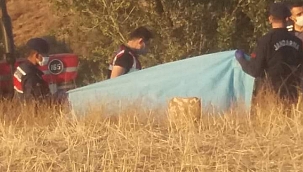 Traktörün altında kalan adam öldü