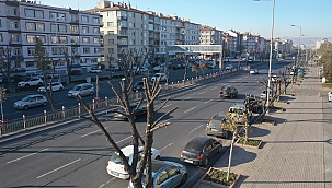 Büyükşehir’den ağaçlara ‘kış’ bakımı