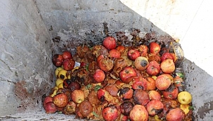 Çürük elmadan meyve suyu iddiası gerçek çıkmadı