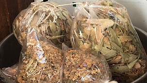 Ihlamur satışlarında ‘koronavirüs’ yoğunluğu