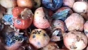 'Millet ne içtiğini görsün'