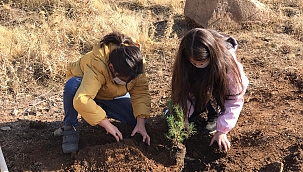 Şehitler için 406 fidan