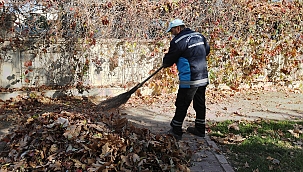Talas’ta sonbahar temizliği