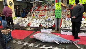 185 kiloluk orkinosu gören Kayserililer hayrete düştü