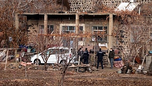 Ağabey ile kardeş ölü bulundu