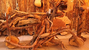 Ağaç köklerini sanat eserine dönüştürüyor