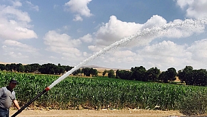 Büyükşehirden tarım ve hayvancılığa 13 milyon TL'lik yatırım