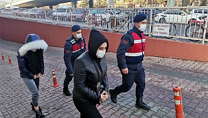 Hayvan hakları derneği üyesi pitbull çaldı