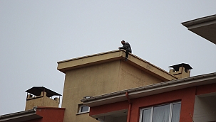 Kendisini çatıdan atmak isteyen şahsı polis ikna etti