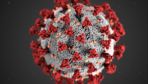 Koronavirüs mutasyona uğradı