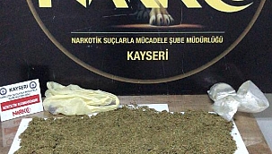 Otobüsteki valizin astarında bonzai ele geçirildi