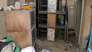 Kayseri’de güvercin hırsızlığı