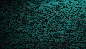 Kayseri, yavru alabalık ve gözlenmiş yumurta ihtiyacının yüzde 37’sini karşılıyor